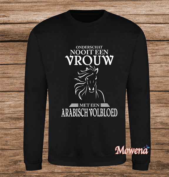 Sweater Onderschat nooit een vrouw SP0064